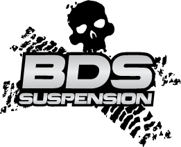 BDSlogo-vert-silver BDS logo